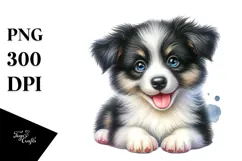 Happy Baby Border Collie, Transparent PNG Product Image 1