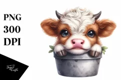 Smiling Baby Highland Cow in a Pot | Clipart Product Image 1