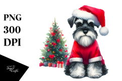Miniature Schnauzer with Christmas Decorations PNG Product Image 1