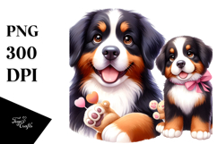 Cute Bernese Mountain Dog, PNG Product Image 1