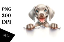 Enthusiastic Baby Weimaraner Clipart Product Image 3