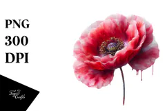 -Like Poppy Watercolor PNG Product Image 1