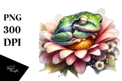 Baby Frog Sleeping, PNG Product Image 1