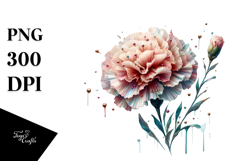 Carnation Watercolor Splash PNG Product Image 1