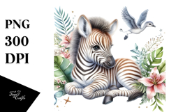 Energic Baby Zebra PNG Product Image 1