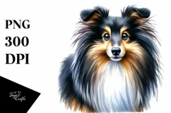 Shetland Sheepdog Big Eyes Watercolor Splash Product Image 1