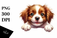 Funny Crazy Baby Brittany Smiling | Sublimation Clipart Product Image 3