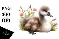Digital Watercolor Baby Swan PNG Product Image 1