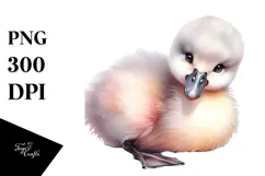 Digital Watercolor Baby Swan PNG Product Image 1