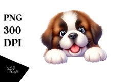 Funny Baby Saint Bernard | Clipart Product Image 1