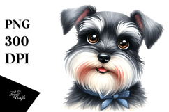 Happy Miniature Schnauzer, Transparent PNG Product Image 1