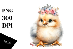Adorned Baby Chicken, Transparent PNG Product Image 1