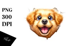 Sublimation|Clipart Product Image 3