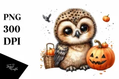 Cute Baby Owl with Pumpkin, Transparent PNG Product Image 3