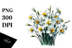 Vibrant Narcissus, Transparent PNG Product Image 1