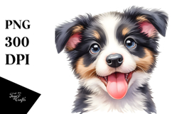 Expressive Baby Border Collie PNG Product Image 1