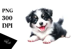 Expressive Baby Border Collie PNG Product Image 1