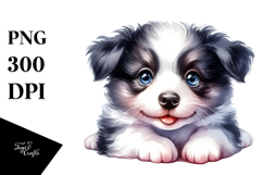 Expressive Baby Border Collie PNG Product Image 1