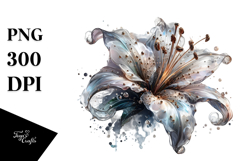 Shiny Lily Material Splash Product Image 1