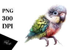 Digital Watercolor Baby Parrot, High-Quality PNG Product Image 1