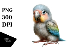 Cute Baby Parrot PNG Product Image 1