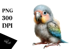 Digital Watercolor Baby Parrot, High-Resolution PNG Product Image 1