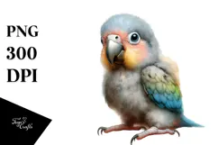 Digital Watercolor Baby Parrot, High-Resolution PNG Product Image 1
