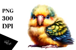 Cute Baby Parrot PNG Product Image 1
