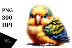 Digital Watercolor Baby Parrot, High-Quality PNG Product Image 1