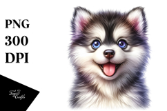 Happy Siberian Husky PNG Product Image 1