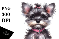 Expressive Baby Miniature Schnauzer PNG Product Image 1