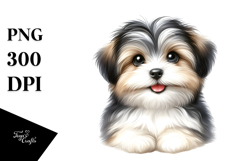 Watercolor Baby Havanese with Big Eyes PNG Product Image 1