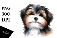 Watercolor Baby Havanese with Big Eyes PNG Product Image 1