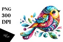 Colorfull Bird Watercolor Clipart Product Image 3