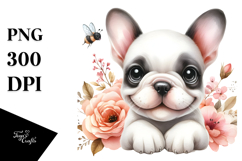 Cute Baby French Bulldog, Transparent PNG Product Image 1