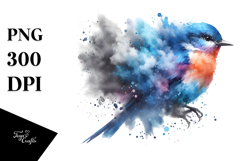 Bird Splashes High-Res PNG Product Image 1