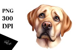 Sublimation|Clipart Product Image 3