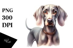 Sublimation|Clipart Product Image 1