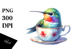 Vibrant Baby Hummingbird in Teacup Sublimation Clipart Product Image 1