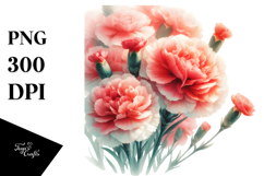 colorful carnation washed watercolor | Clipart Product Image 1
