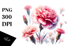 colorful carnation washed watercolor | Clipart Product Image 1