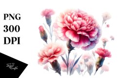 colorful carnation washed watercolor | Clipart Product Image 3