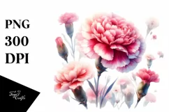 colorful carnation washed watercolor | Clipart Product Image 3
