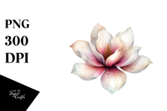 Magnolia Watercolor PNG Product Image 1