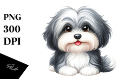 Happy Cute Havanese Dog PNG Product Image 1