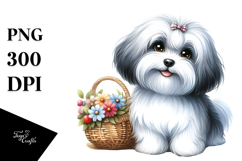 Watercolor Cute Havanese PNG Product Image 1