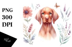 Cute Vizsla Watercolor Clipart Product Image 1