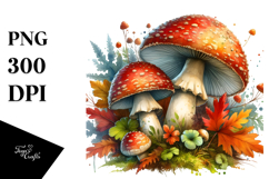 Mystical Mushroom Summer PNG Product Image 1