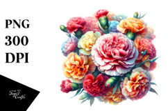 Colorfull Carnation Flower PNG Product Image 1