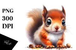 Cute Baby Squirrel PNG Product Image 1
